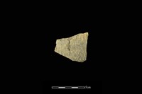 陶片藏品圖，第1張